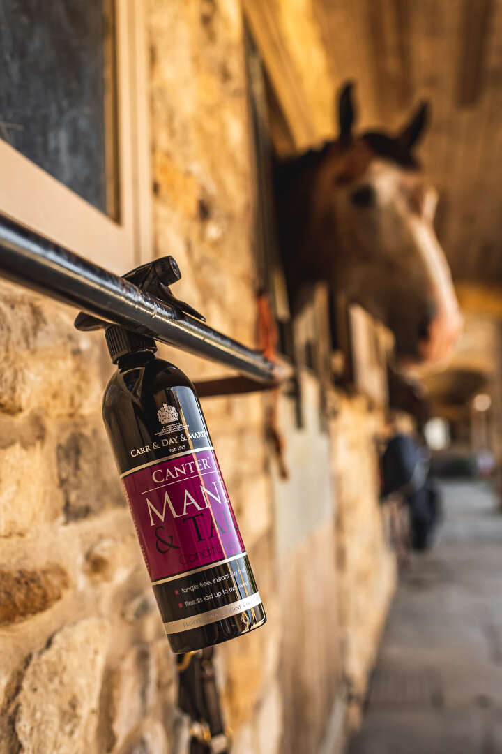 CARR & DAY & MARTIN Canter Mane & Tail Conditioner Spray